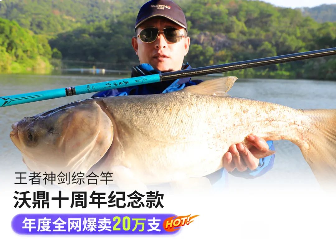 被称为“断货王”的王者神剑综合竿，为何魅力这么大？