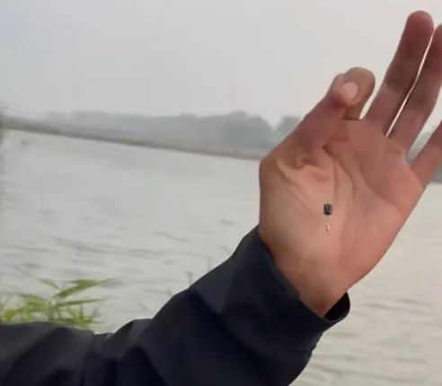 挂蚯蚓红虫如何调漂？只需两步就可完成！