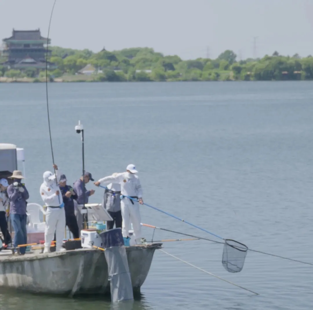 2024王者之战小组赛首日结束，沃鼎·探索刘松松战队战报出炉