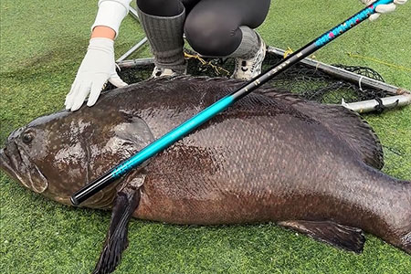 新品情报 | 沃鼎王者神剑四代5.5H实钓，力战50+龙趸！