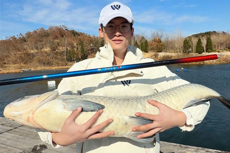 新品情报 | 沃鼎王者神剑鲢鳙经典版今日18:30首发，实战见真章！