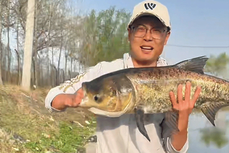 新品情报 | 沃鼎王者神剑四代大物竿轻量版实钓，狂拉鲢鳙！