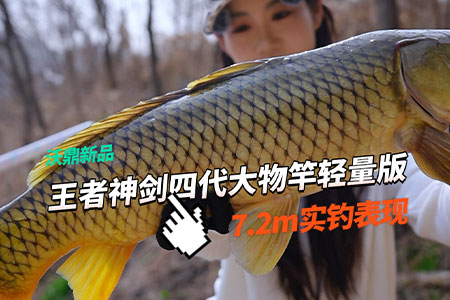 新品情报 | 沃鼎王者神剑四代大物竿轻量版实钓，硬刚野生大鲤子！