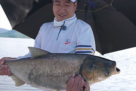 新品情报 | 沃鼎&middot;探索不凡 鲢鳙5月27日20:00首发，刘松松高湖实战鲢鳙表现！
